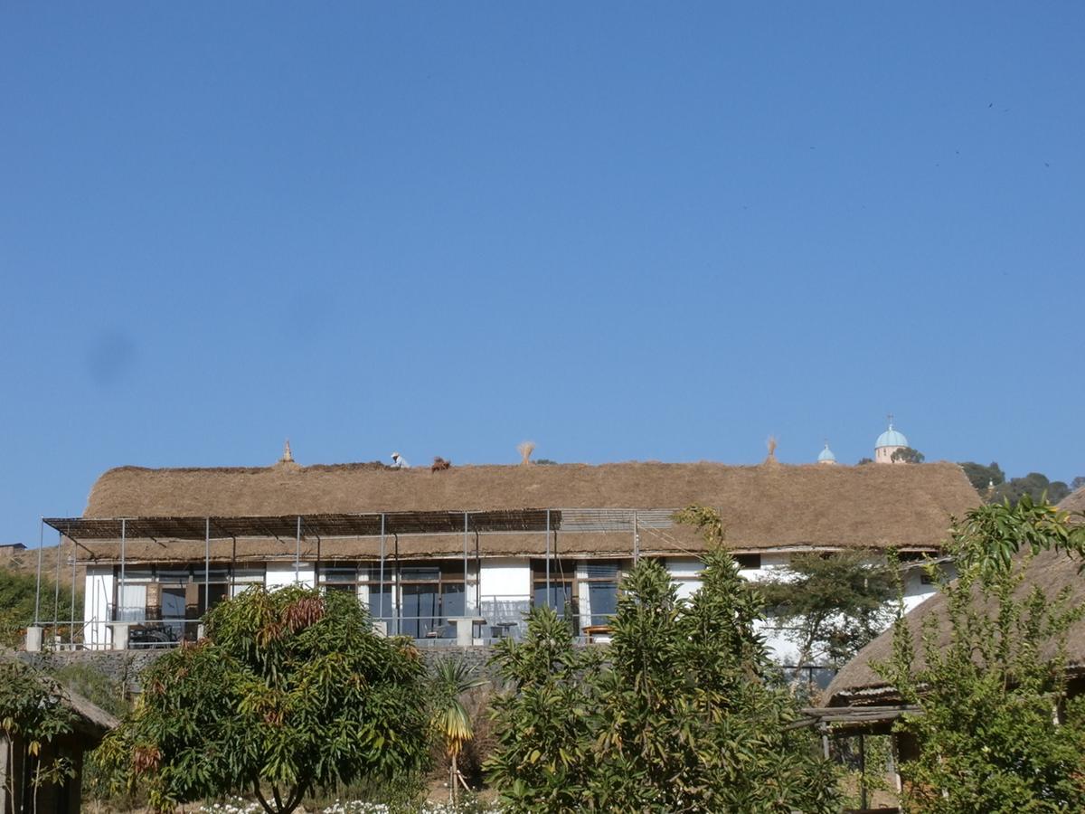 Mayleko Lodge Гондэр Экстерьер фото